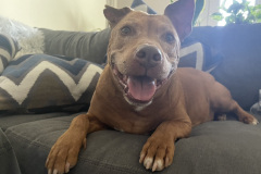 A4755649-ECCC-4C25-9238-9BF44DAD20D3_1_105_c